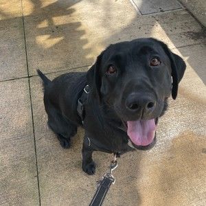 Meet your Posher, Isabel